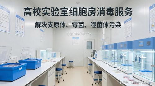 北上廣深高?？蒲性核茖W(xué)實(shí)驗(yàn)室開(kāi)荒消毒服務(wù)指南